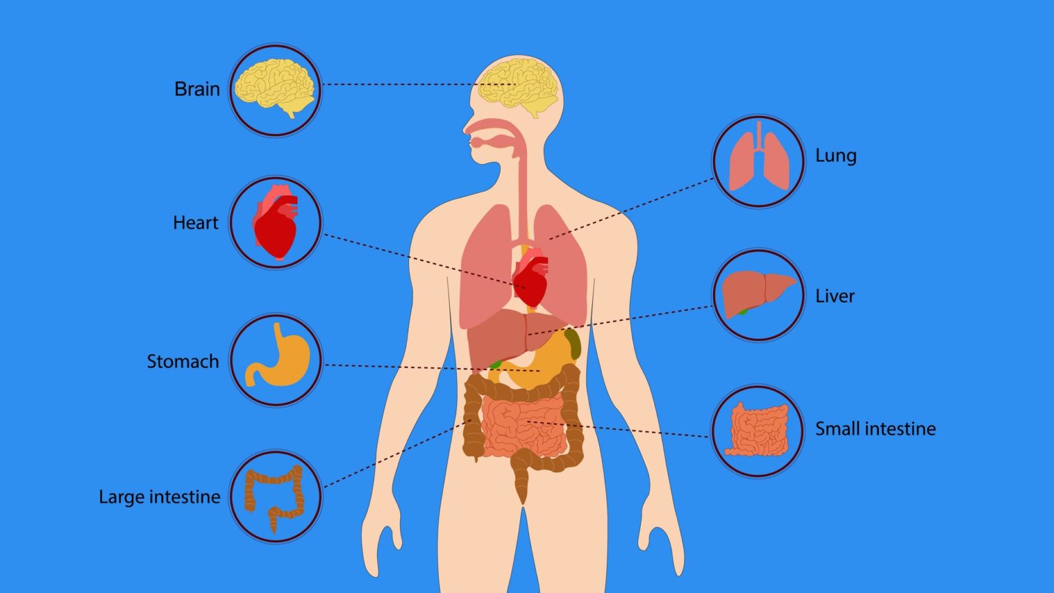 CBD BioAvailability- Separating Hype From Reality - Dr. Bomi Joseph