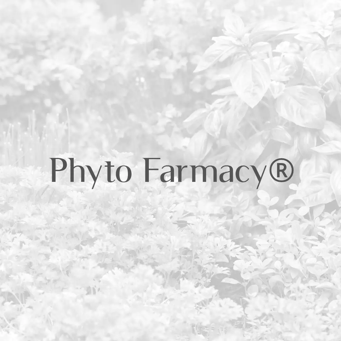 Phyto Pharmacy® hero shot, representing Dr. Bomi Joseph’s work in natural medicine and plant-based health